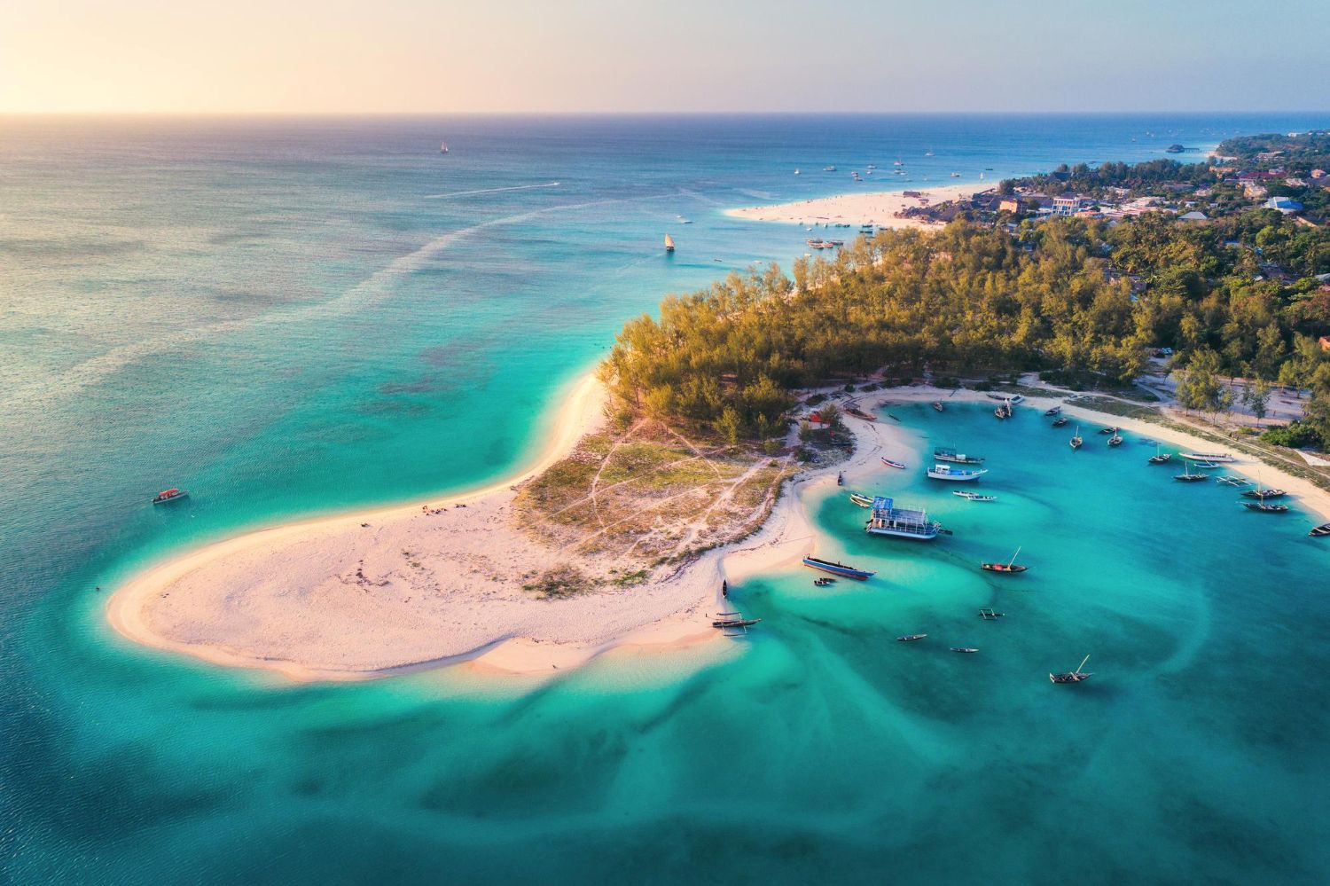 Plaża na wyspie Zanzibar w Afryce